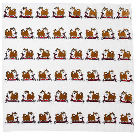 一对咖喱套餐 (05048)